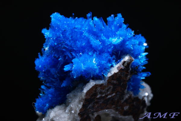ChE}nVgBS[Yy^SiCgYȕW{111