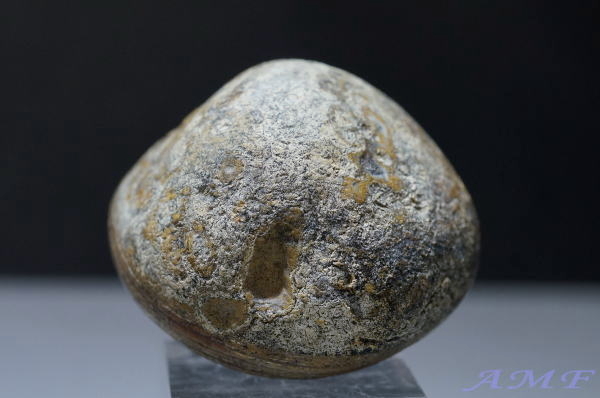YȃuWEoC[ABYAQ[g13