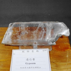 透石膏・Gypsum