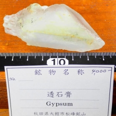 透石膏・Gypsum