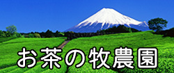 お茶の牧農園茶園写真