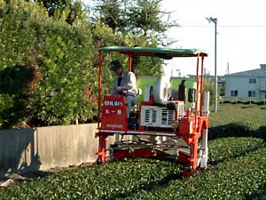乗用茶摘み機