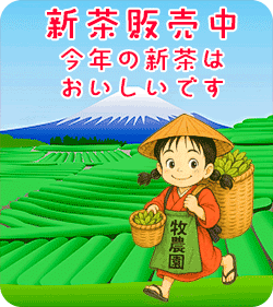 おいしい新茶をお届けします