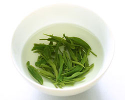 手揉み茶写真