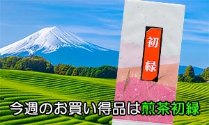 今週のお買い得品は煎茶初緑