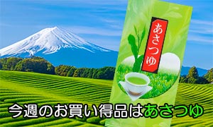 今週のお買い得品は煎茶あさつゆ