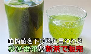 秋冬番茶を新茶で販売